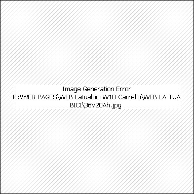 Batteria LiFePo4 36V 20Ah evolution